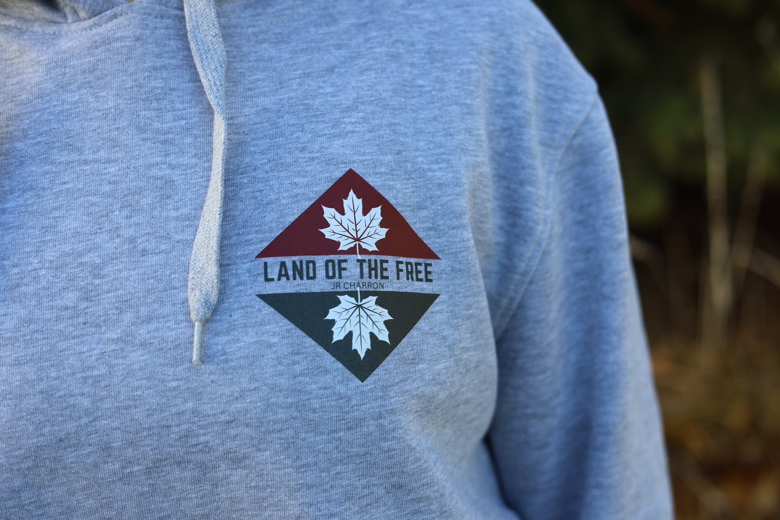 Land of the Free Hoodie - Image 3